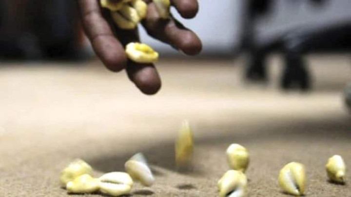 झापामा कौडा खेलिरहेको १२ जना पक्राउ