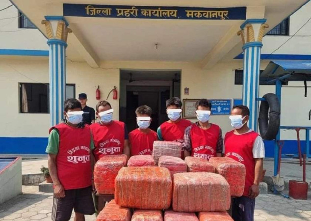 निकुञ्जको कोर इलाकाबाट गाँजासहित ७ जना पक्राउ