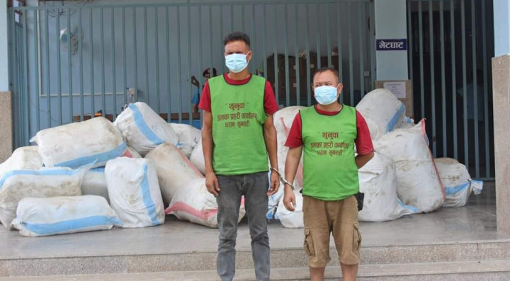 धरानमा १४२० किलो गाँजा बरामद