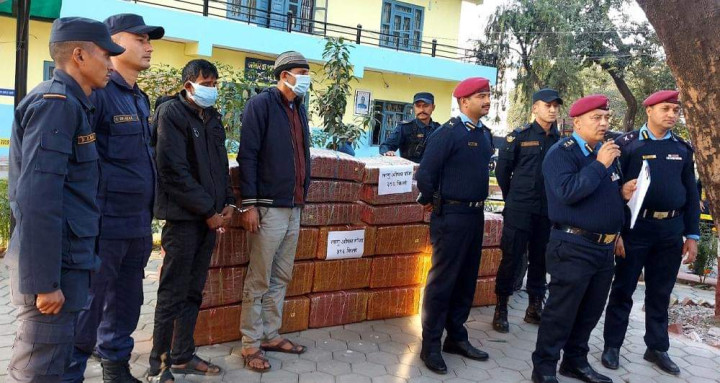 चितवनबाट ३८० किलो अवैध गाँजासहित दुई भारतीय पक्राउ