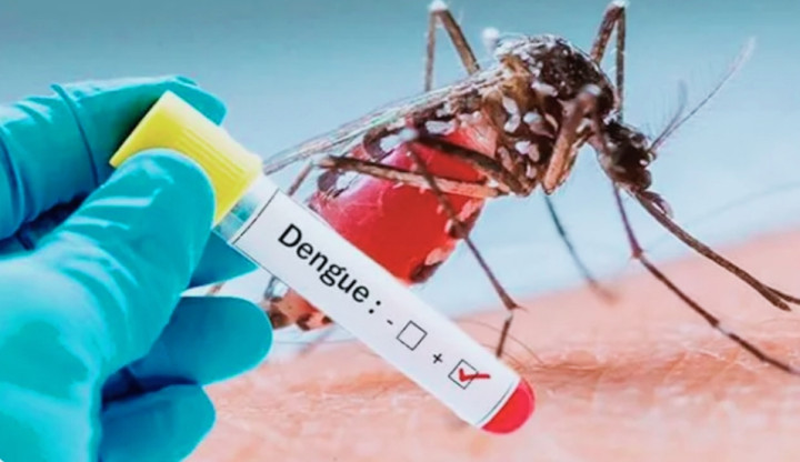 काभ्रेमा डेंगीको संक्रमण बढ्दै