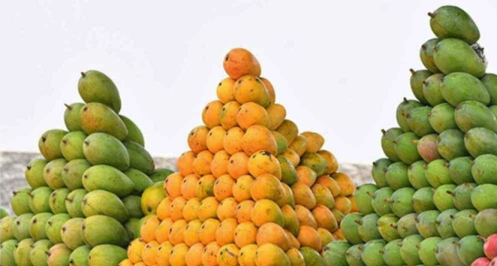 भोलिदेखि काठमाडौंमा तीनदिने आँप महोत्सव हुने