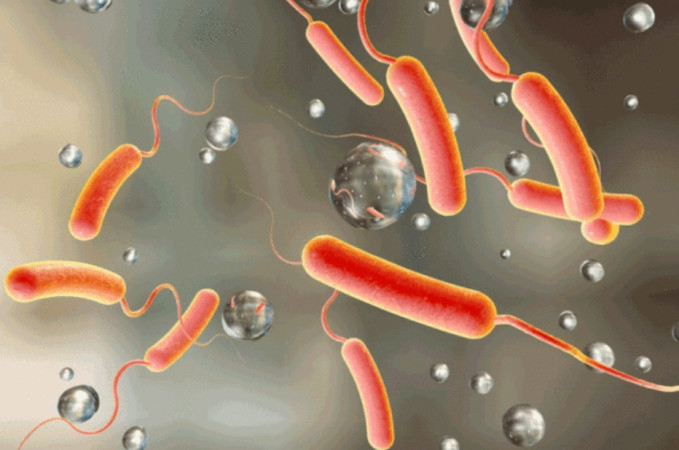 देशभर हैजा संक्रमितको संख्या ३० पुग्यो, सबैभन्दा धेरै काठमाडौं उपत्यकामा